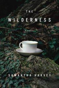 The Wilderness: A Novel