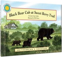 Black Bear Cub at Sweet Berry Trail (Smithsonian's Backyard Collection)