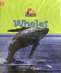 Whales Unit 18