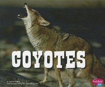 Coyotes (North American Animals)