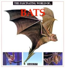 The Fascinating World of... Bats
