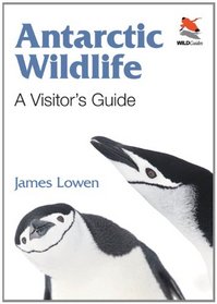 Antarctic Wildlife: A Visitor's Guide