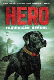 Hero: Hurricane Rescue (Hero, Bk 2)