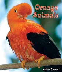 Orange Animals (All about a Rainbow of Animals)