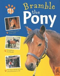 Pony (Pet SOS)