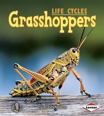 Grasshoppers (Animal Life Cycles)