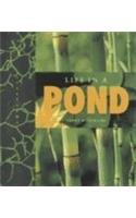 Life in a Pond (Halfmann, Janet. Lifeviews.)