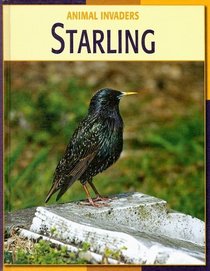 Starling (Animal Invaders)