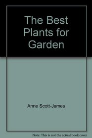 Best Plants for Garden (850297991)