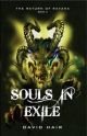 Souls in Exile: The Return of Ravana Book 3