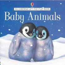 Baby Animals (Usborne Lift the Flap Learner)