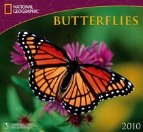 Butterflies - 2010 National Geographic Wall Calendar