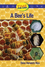 A Bee's Life: Upper Emergent (Nonfiction Readers)