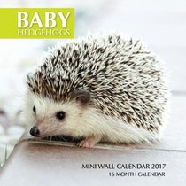 Baby Hedgehogs Mini Wall Calendar 2017: 16 Month Calendar