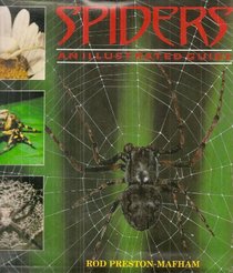 Spiders and Scorpions: An Illustrated Guide