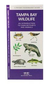 Tampa Bay Wildlife: An introduction to familiar species of marine plants, echinoderms, mollusks, crustaceans, nearshore fishes, reptiles, amphibians, and ... (Pocket Naturalist - Waterford Press)