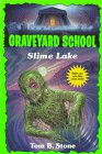 Slime Lake (Graveyard School)