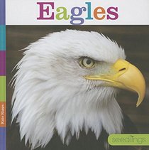 Eagles (Seedlings)