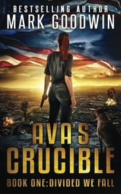 Divided We Fall: A Novel of the Coming Civil War in America (Ava's Crucible)