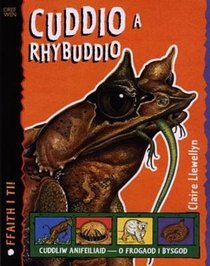 Cyfres Ffaith i Ti! Cuddio a Rhybuddio (Welsh Edition)