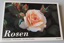 Rosen. 30 farbige Postkarten.