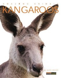 Amazing Animals: Kangaroos