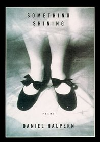 Something Shining : Poems