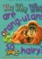 Why Why Why are Orang-utans So Hairy?