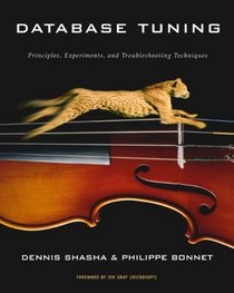 Database Tuning: Principles, Experiments, and Troubleshooting Techniques (The Morgan Kaufmann Series in Data Management Systems)