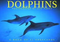 Dolphins