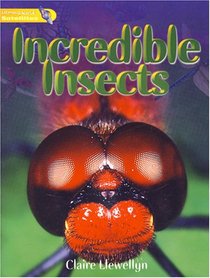 Literacy World Satellites Non Fiction Stage 1 Incredible Insects