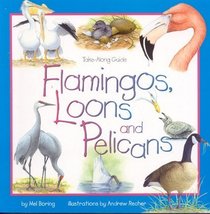 Flamingos Loons & Pelicans (Take Along Guide)