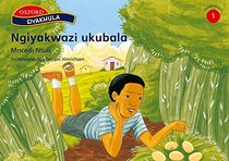 Ngiyakwazi Ukubala (Siyakhula Isindebele Licophelo 1-3 Readers)