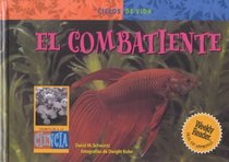El Combatiente/ Fighting Fish (Life Cycles) (Spanish Edition)