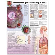 Understanding HIV and AIDS Anatomical Chart in Spanish (Entendiendo Que Son el VIH y el SIDA)