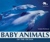Baby Animals of the Ocean (Nature's Baby Animals)