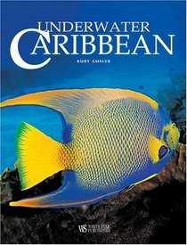 Underwater Caribbean (Secrets of the Sea)