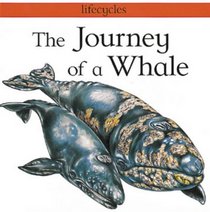 The Journey of a Whale (Lifecycles)