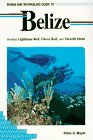 Diving and Snorkeling Guide to Belize: Includes Lighthouse Reef, Glover Reef, and Turneffe Island (Lonely Planet Pisces Books)