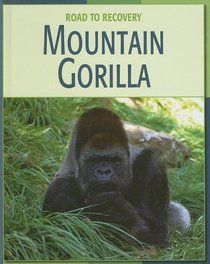 Mountain Gorilla (Road to Recovery)