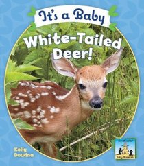 It's a Baby White-Tailed Deer! (Baby Mammals)