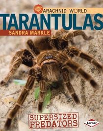Tarantulas: Supersized Predators (Arachnid World)