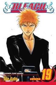 Bleach, Vol 19