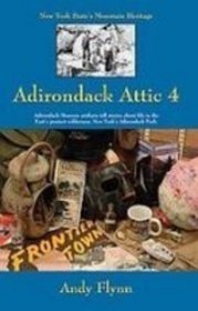 New York State's Mountain Heritage: Adirondack Attic 4