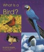 What Is a Bird (Animal Kingdom)
