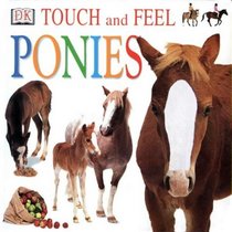 Touch and Feel: Ponies: Pony (Touch and Feel)