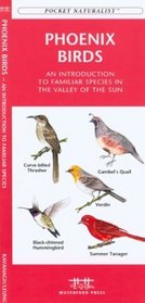 Phoenix Birds: An Introduction to Familiar Species in Central Arizona