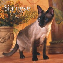 Siamese Cats 2008 Square Wall Calendar
