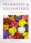 Primroses  Polyanthus : A Guide to the Species and Hybrids