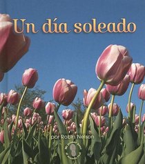 Un Dia Soleado / A Sunny Day (Mi Primer Pasa Al Mundo Real / First Step Nonfiction)